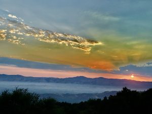 Heavenly Hope for Healing Hearts
